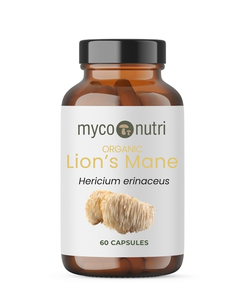 Økologisk Lions Mane ekstrakt 