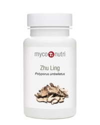 Umbrella Polypore - Zhu Ling