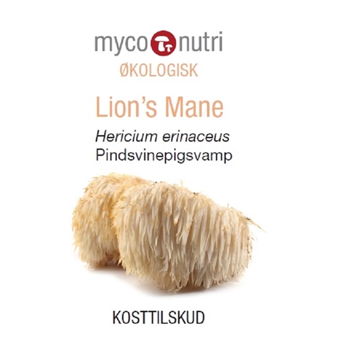 Økologisk Lions Mane ekstrakt 